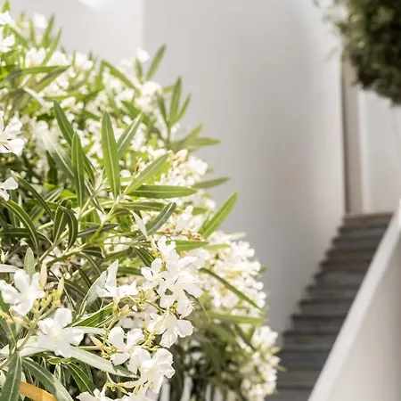 Philosophy Of Mykonos Boutique Otel 3*
