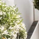 Philosophy Of Mykonos Boutique Ξενοδοχείο 3*
