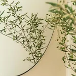 Ξενοδοχείο Philosophy Of Mykonos Boutique