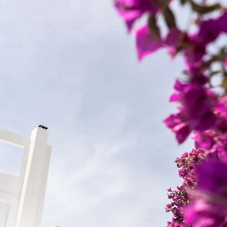 فندق Philosophy Of Mykonos Boutique