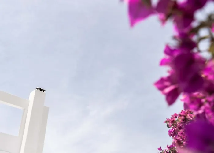 מלון Philosophy Of Mykonos Boutique