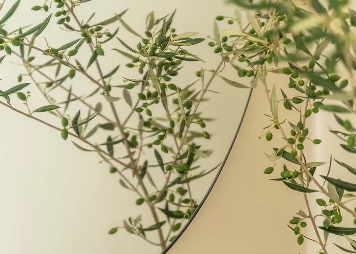 מלון Philosophy Of Mykonos Boutique